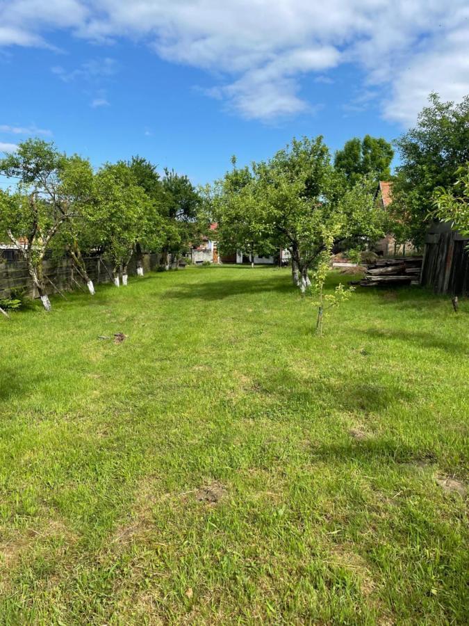La Mosu Villa Porumbacu de Sus Luaran gambar