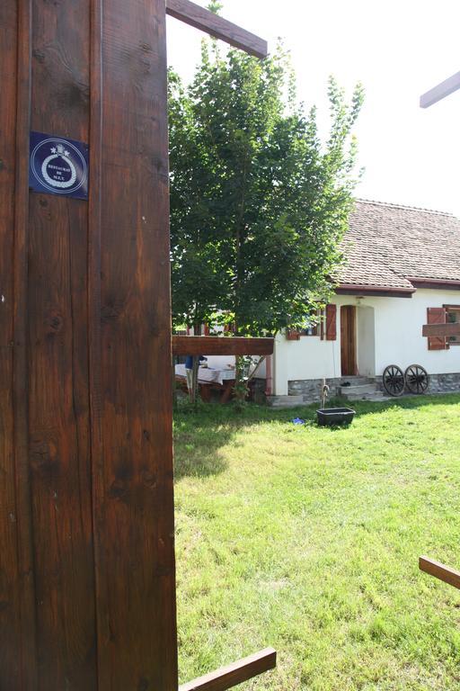 La Mosu Villa Porumbacu de Sus Luaran gambar