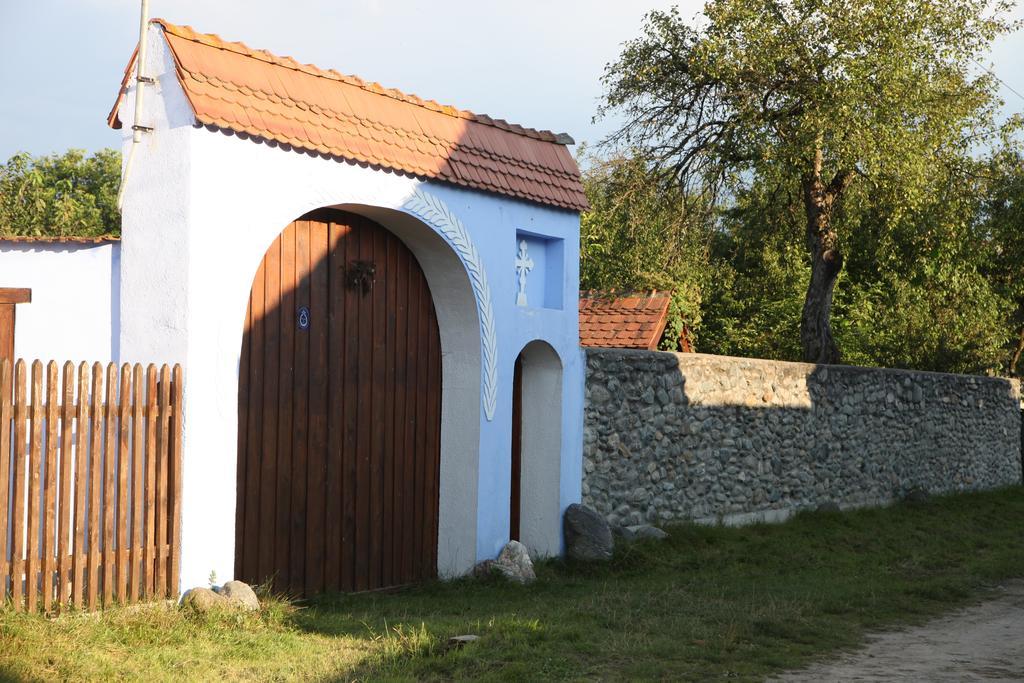 La Mosu Villa Porumbacu de Sus Luaran gambar