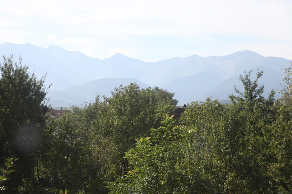La Mosu Villa Porumbacu de Sus Luaran gambar